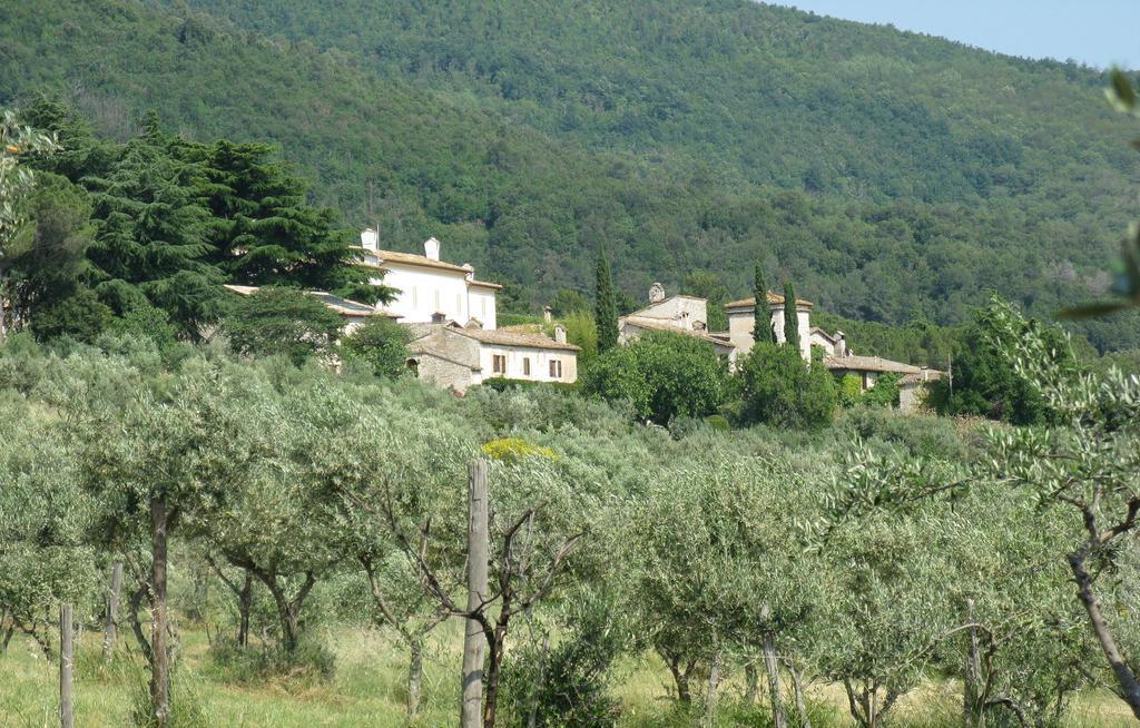 Della Genga Resort Arezzola Camera foto
