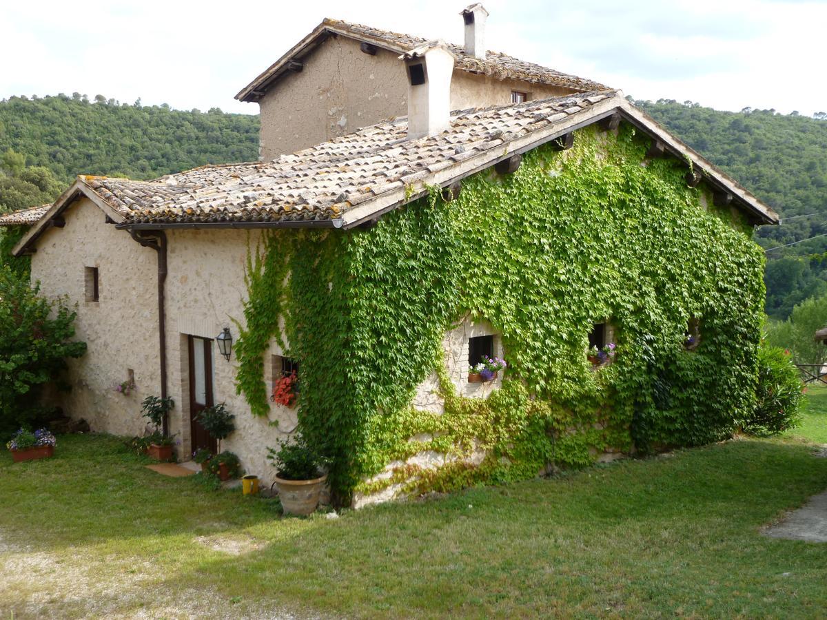 Della Genga Resort Arezzola Esterno foto
